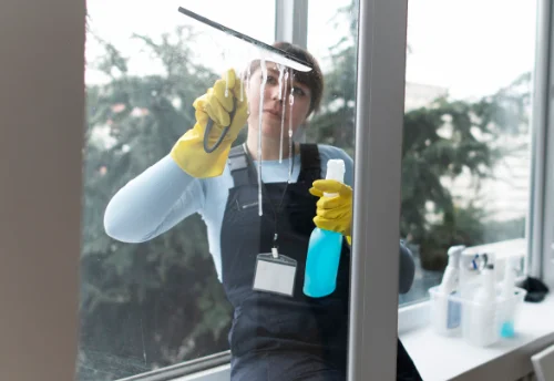 Nettoyage de vitres intérieures et extérieures à Anais